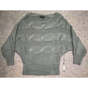 NWT BCBG Maxazria Pullover Sweater Womens XL Dolman Sleeve Blue Haze MSRP $160